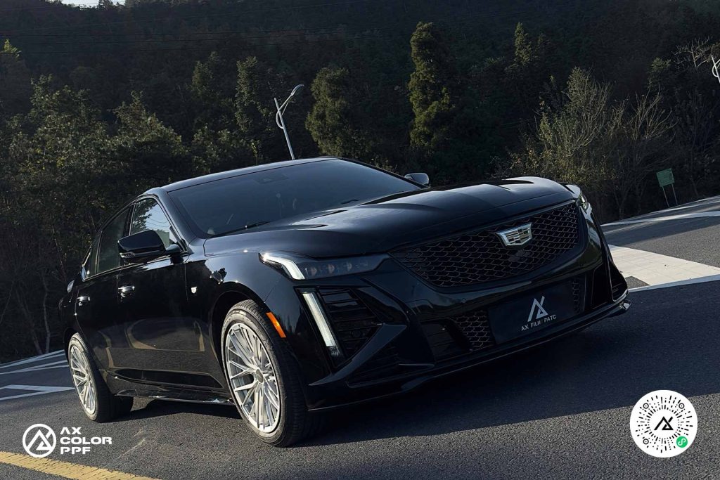 43cb3447189a4db6ac02cf97f6b0165a